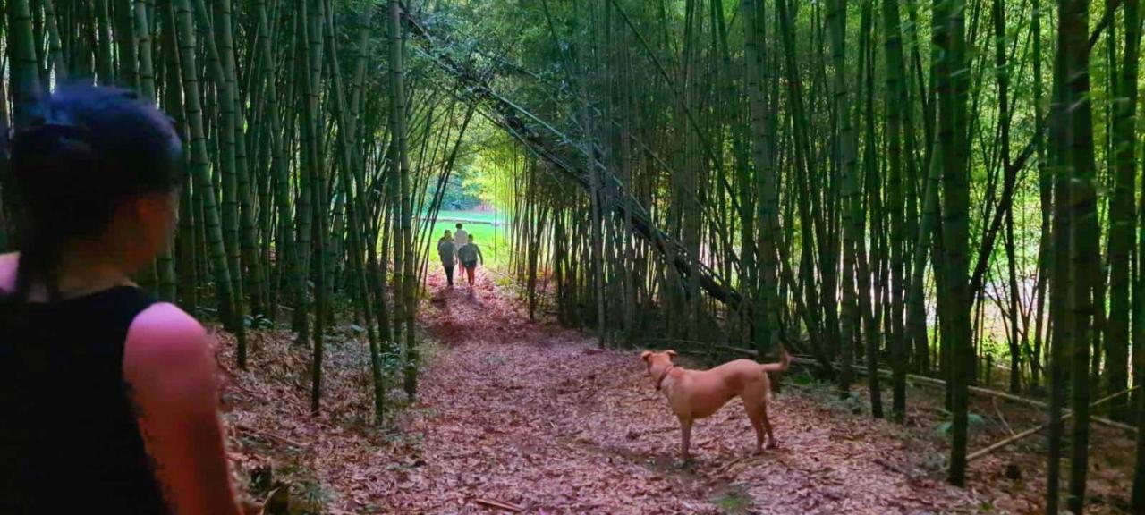 Pousada Green Valley São Roque Εξωτερικό φωτογραφία